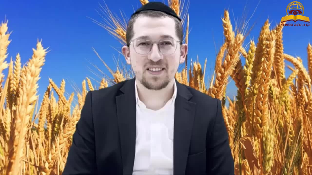 מדוע סופרים ספירת העומר - ביאור עניין קורבנות העומר ושתי הלחם - הרב יוסף שכטר