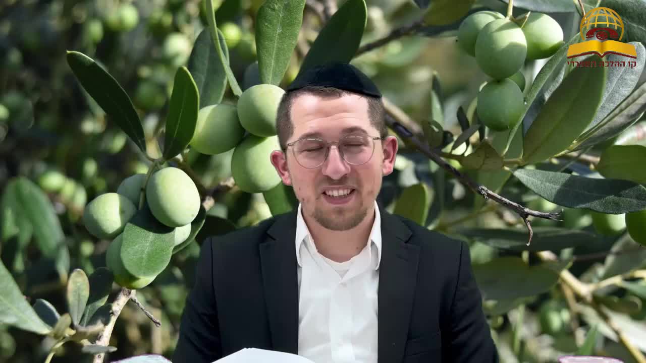 פרשת בהר בחוקותי - באיזה השתדלות השקיע החזון איש - הרב יוסף שכטר