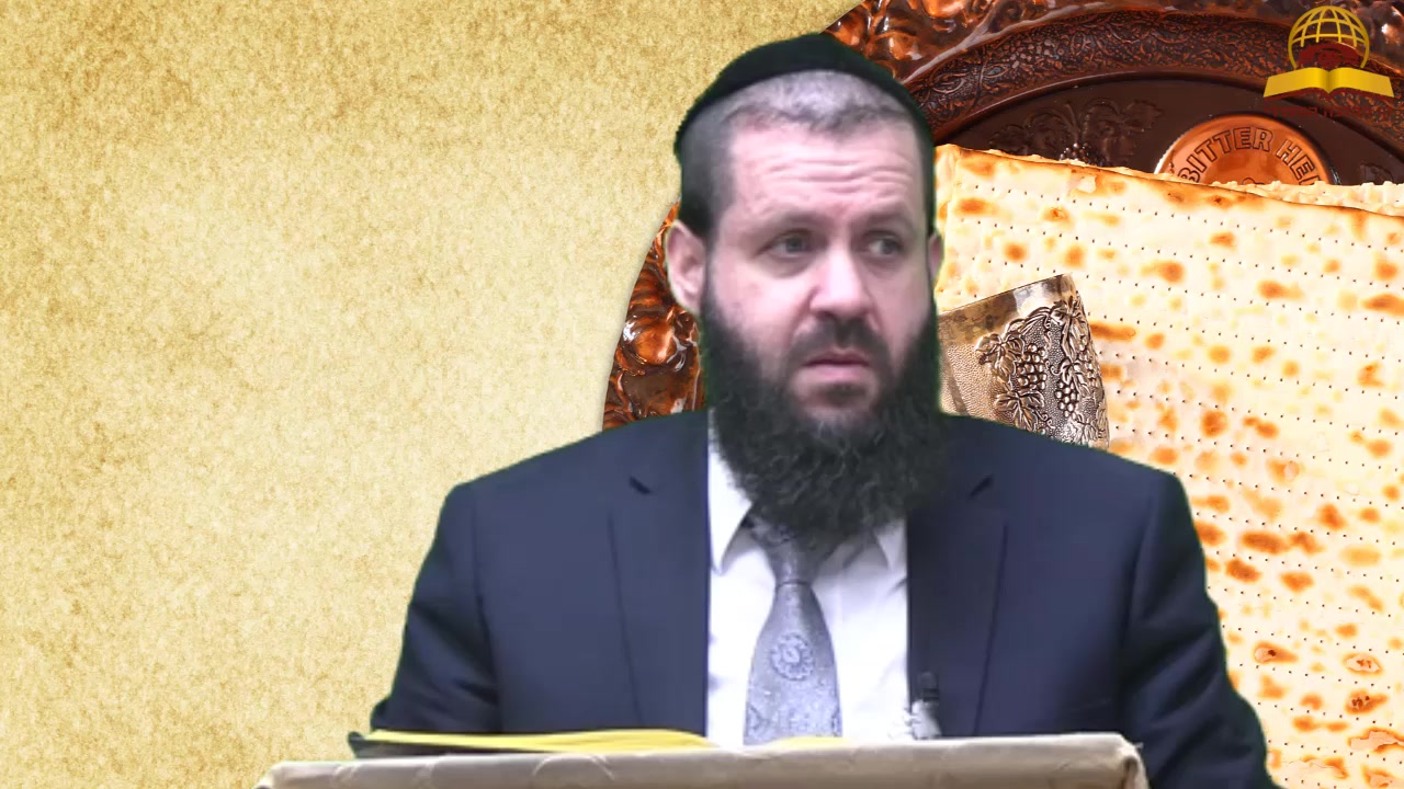 מידע או חוויה? השיעור שישנה לכם את שולחן החג | הרב גדליה הופנונג 